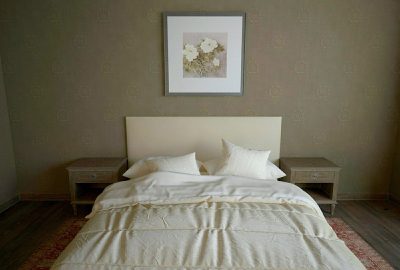 Comment se débarrasser des punaises de lit ?