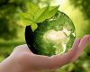 Adoptez des gestes écologiques pour sa maison