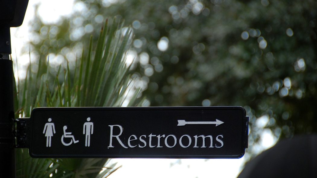 Dans quelles situations une toilette sèche est-elle la meilleure option ?