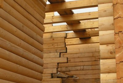 Les maisons à ossature bois : une approche écologique et esthétique