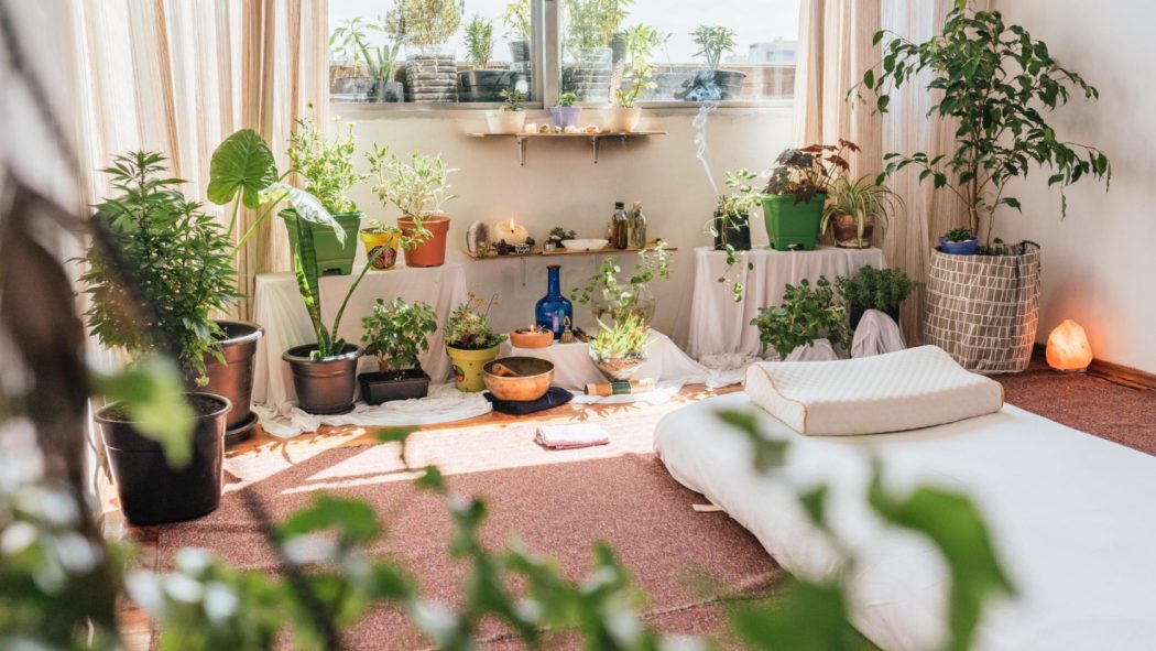 Maison et bien-être : des conseils pour créer un intérieur apaisant et fonctionnel