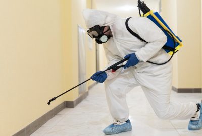 Dératisation à Cruas : comment prévenir l’invasion des rats et souris dans votre maison ?