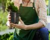 Confiez votre jardin à des experts avec le service de jardinage à domicile