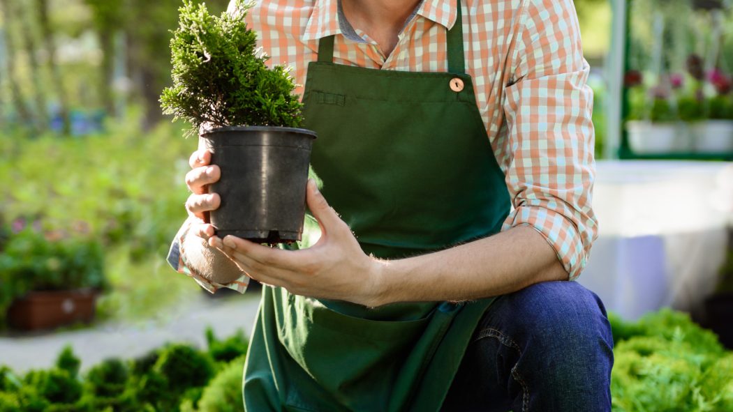 Confiez votre jardin à des experts avec le service de jardinage à domicile