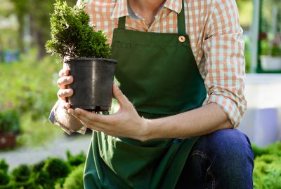 Confiez votre jardin à des experts avec le service de jardinage à domicile
