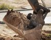 Entreprise de terrassement : préparer le terrain pour des travaux extérieurs durables