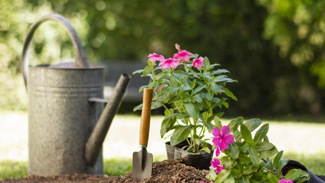 Jardinage à domicile : la solution idéale pour les particuliers occupés