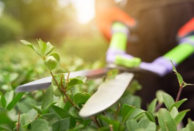 Jardinage à domicile : plus de confort et moins d’effort !