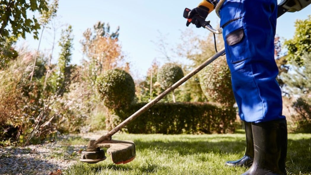 Jardinage à domicile : un beau jardin, sans effort !