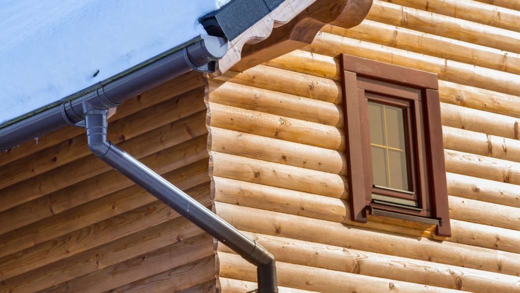 Diagnostic mérule : une étape nécessaire avant de vendre un bien immobilier ?