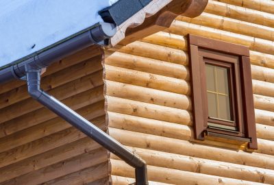 Diagnostic mérule : une étape nécessaire avant de vendre un bien immobilier ?